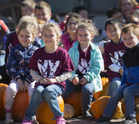 Kindergartners from Northview Elementary in Olathe squat down on a gathering of pumpkins for a class picture following a tour at Schaake's Pumpkin Patch, 1791 North 1500 Road, on Tuesday, Oct. 17, 2017.
